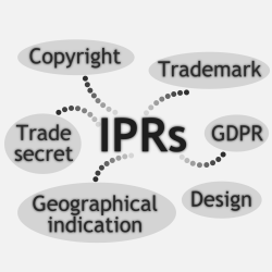 ARTISTIC D.T2.1.3 Intellectual Property Rights (IPR) Regulation Database